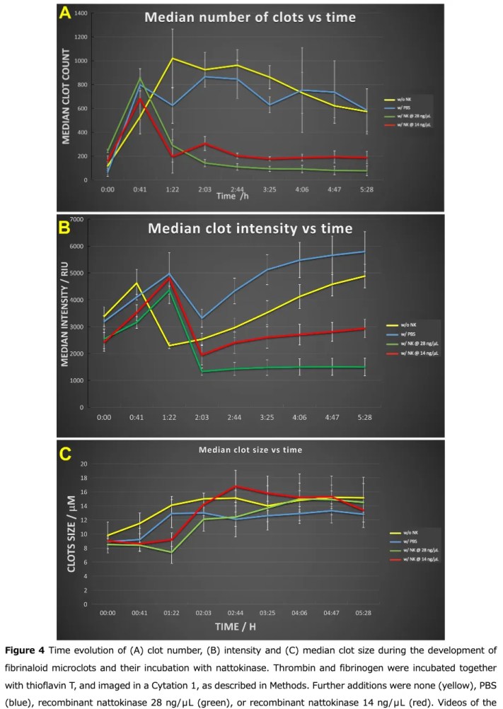 Nattokináz: 84% amyloid mikrokocsonya oldása 2 óra alatt!