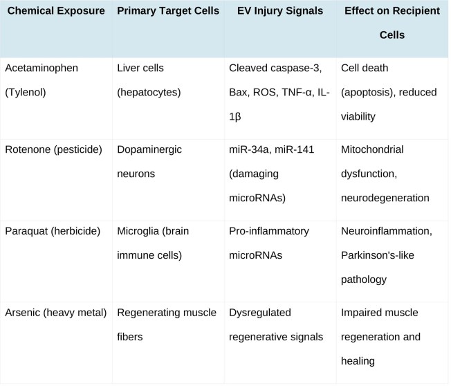 Gyógyulás vagy betegség? Miért hasonlítanak egymásra?