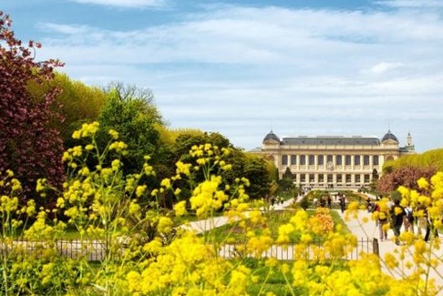 Városi hő: Télen virágzó növények titka!