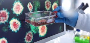 Madárinfluenza: Újabb pandémia a láthatáron?